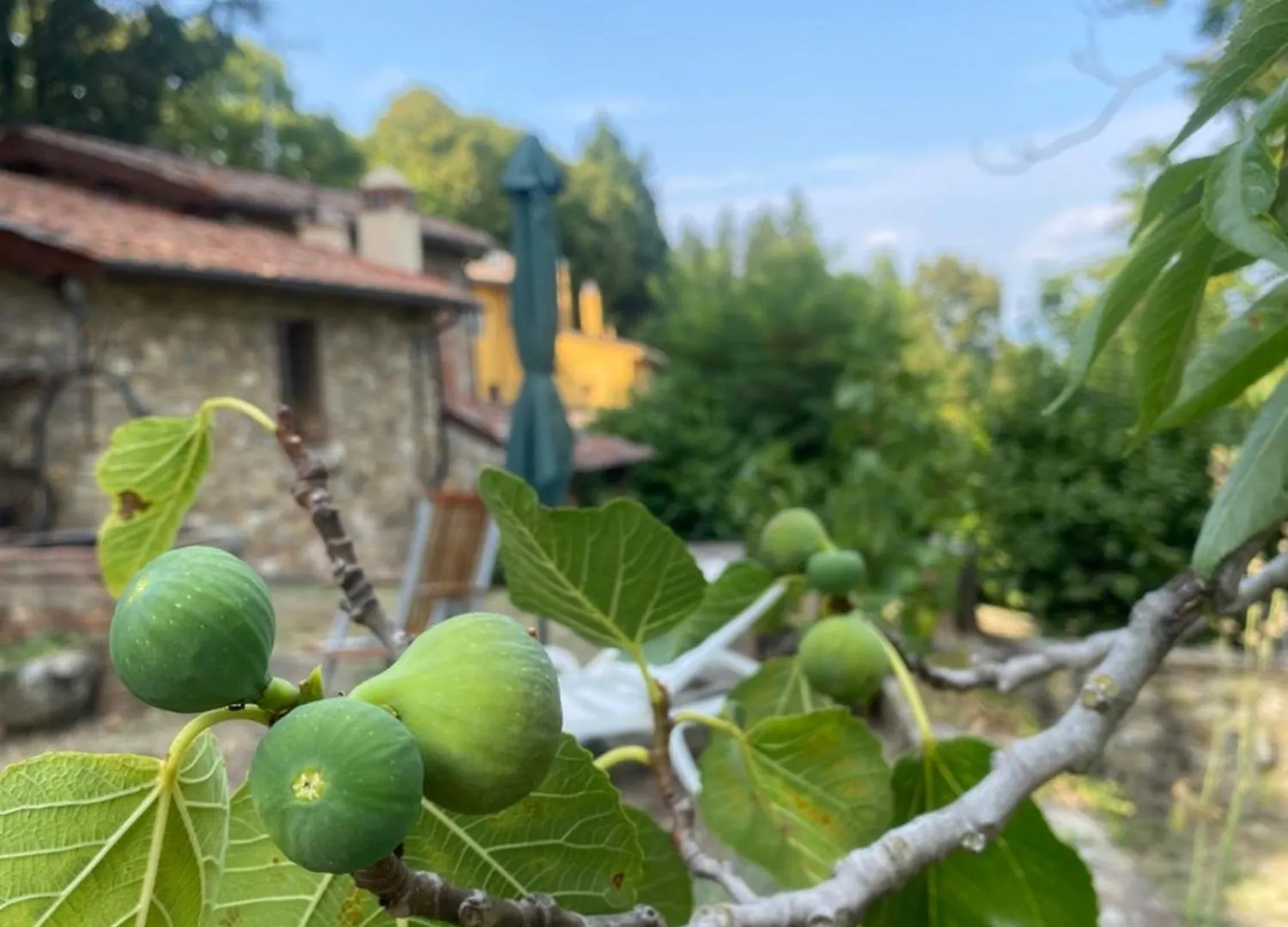 Berenice In Chianti Bagno a Ripoli