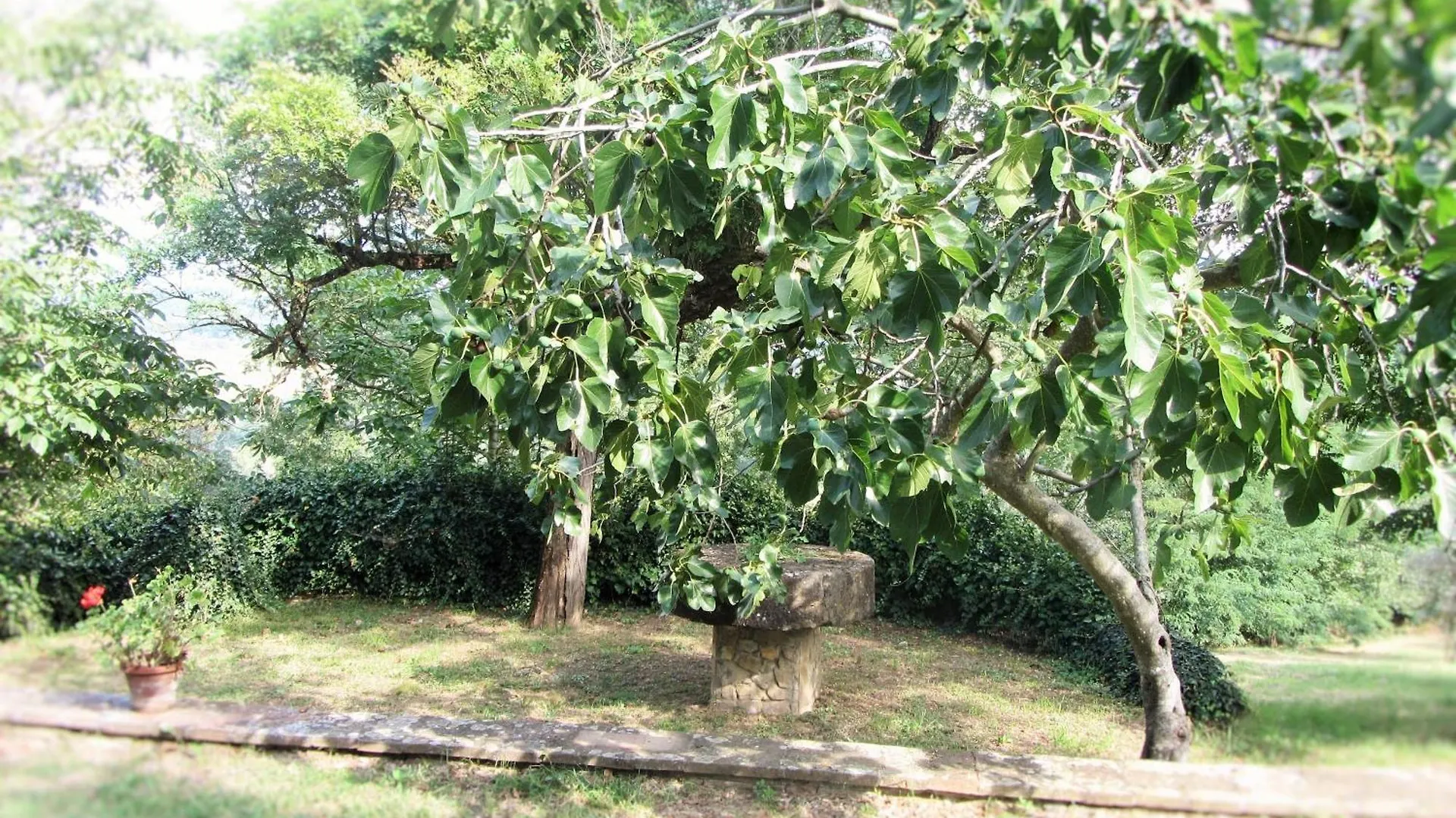Casa di campagna Berenice In Chianti Bagno a Ripoli