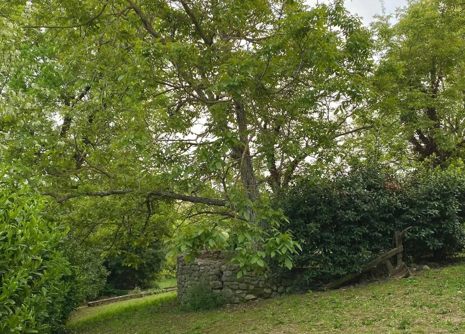 بانيو أَ ريبولِ Berenice In Chianti - Authentic Tuscan Country House  بانيو أَ ريبولِ