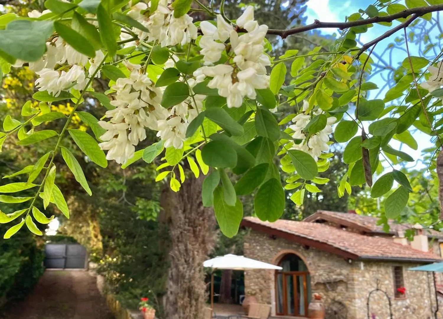 بانيو أَ ريبولِ Berenice In Chianti - Authentic Tuscan Country House