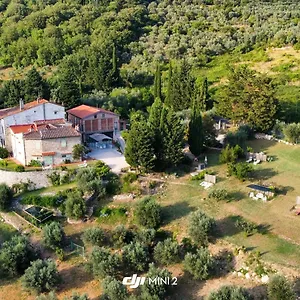 Florence Violetta Bagno a Ripoli