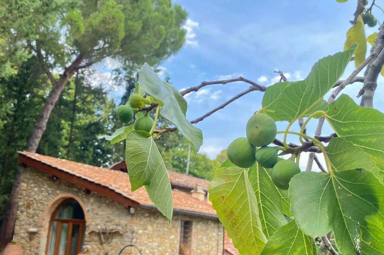 Berenice In Chianti Bagno A Ripoli Country house